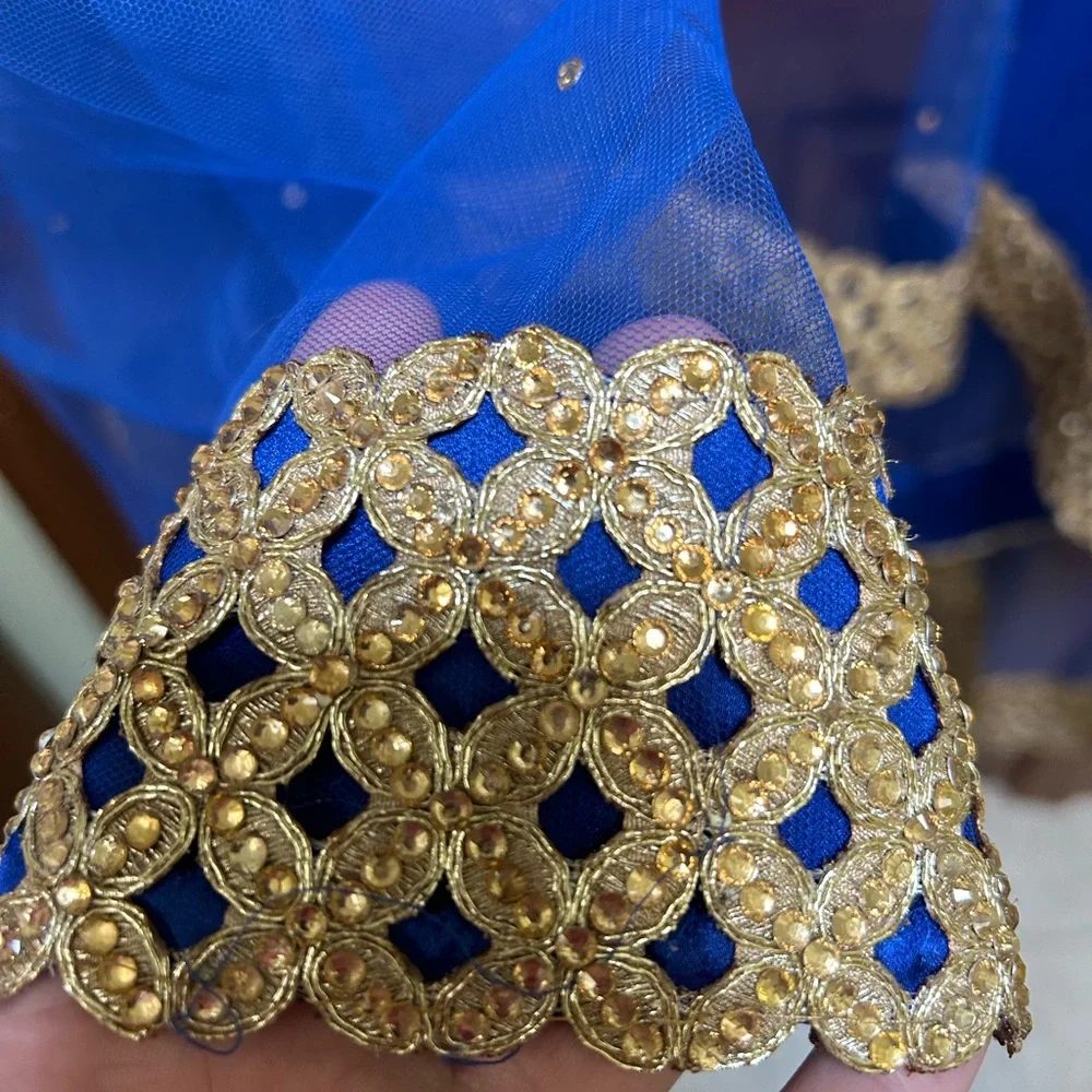 Royal Blue Net Dupatta with Gold Lace Border - Picture 5 of 10